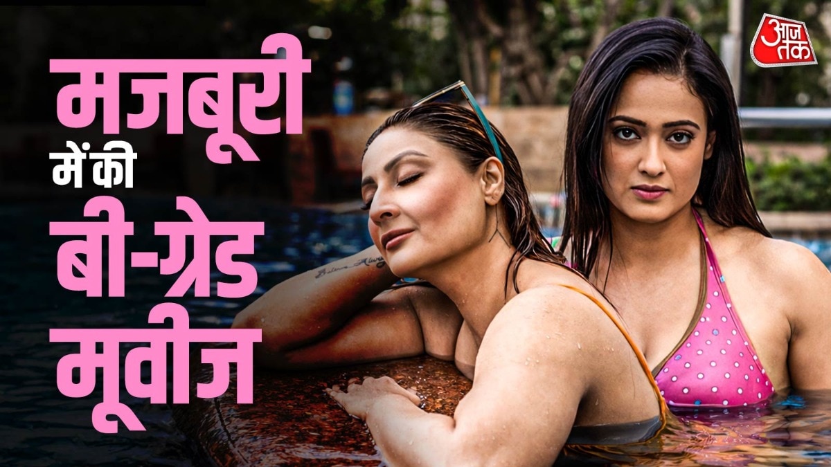 दयाबेन से कोमोलिका तक, B-Grade फिल्मों में दिखीं TV की ये हसीनाएं