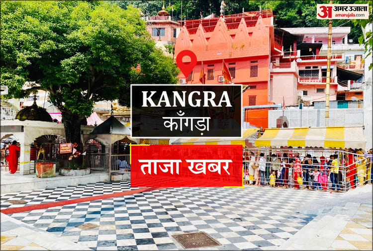रेबीज और प्लेग जैसी महामारियों को रोकने में मददगार हैं गिद्ध : विशेषज्ञ