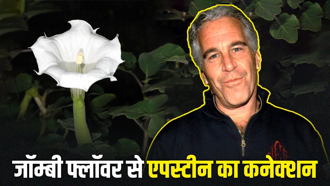 यौन अपराधी एपस्टीन के बगीचे का ‘जॉम्बी फ्लॉवर’ कितना खतरनाक? ईमेल में बार-बार हुआ जिक्र