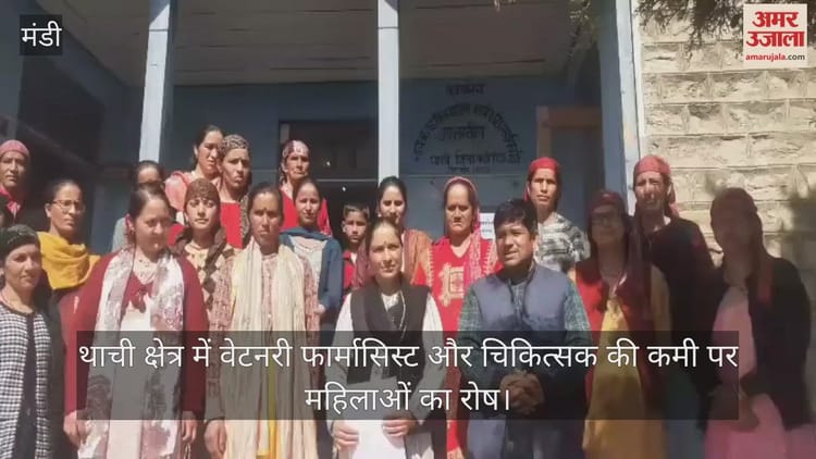 मंडी: थाची क्षेत्र में वेटनरी फार्मासिस्ट और चिकित्सक की कमी पर महिलाओं का रोष
