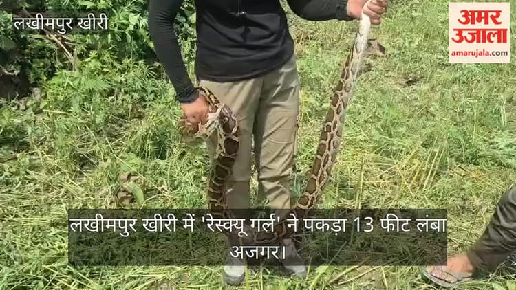 Video: लखीमपुर खीरी में 'रेस्क्यू गर्ल' ने पकड़ा 13 फीट लंबा अजगर