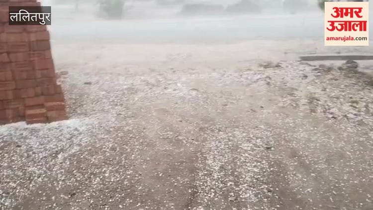 ललितपुर में बारिश के साथ गिरे ओले, किसानों की बढ़ी परेशानी