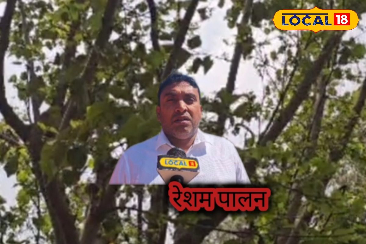 एक खेत, दो कमाई! शहतूत की खेती से डबल कमाई, फल भी, रेशम भी, किसान बनेंगे मालामाल