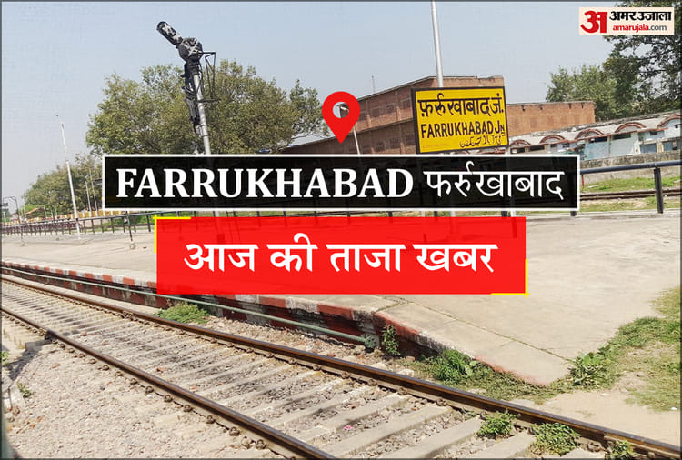 Farrukhabad News: आलू की मंदी से 60 फीसदी किसान बिजली बिल में नहीं ले सके छूट, राजस्व भी घटा