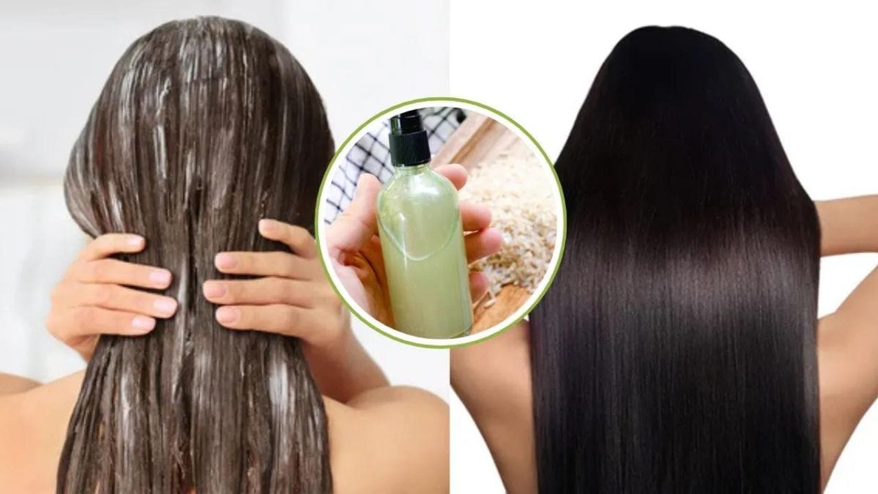 भूल जाएंगी शेम्पू-कंडीशनर!बस बालों में लगाएं ये नेचुरली चीजें, सिल्की स्मूद होंगे हेयर