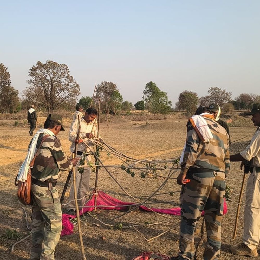 उमरिया में 5 हेक्टेयर वन भूमि अतिक्रमण मुक्त:पनपथा के जंगल से कब्जाधारियों की 30 अवैध झोपड़ियां हटाईं
