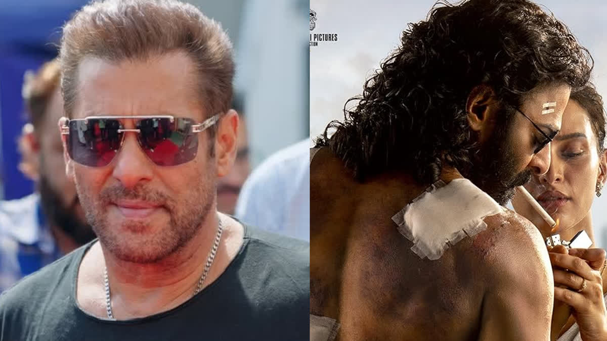 Salman Khan reveals SVC 63 release date