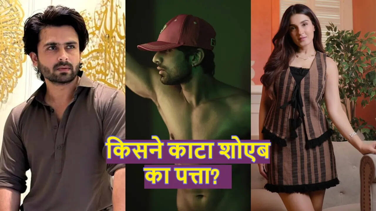 नए शो Ishq Dum Idli Rasam से कटा Shoaib Ibrahim का पत्ता, Shiny Doshi संग रोमांस करेगा ये अभिनेता