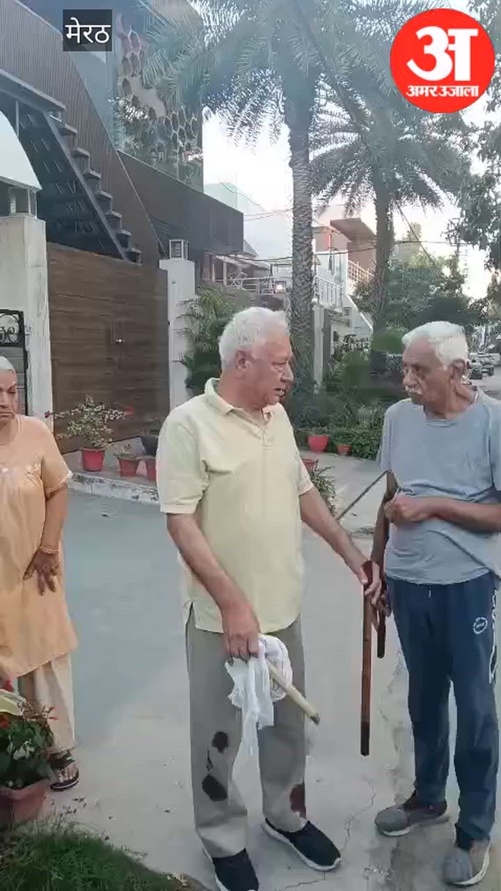 Meerut: करोड़ों के घोटाले के केस में गवाह रिटायर्ड कर्नल पर हथौड़े से हमला, मॉर्निंग वॉक के दौरान वार