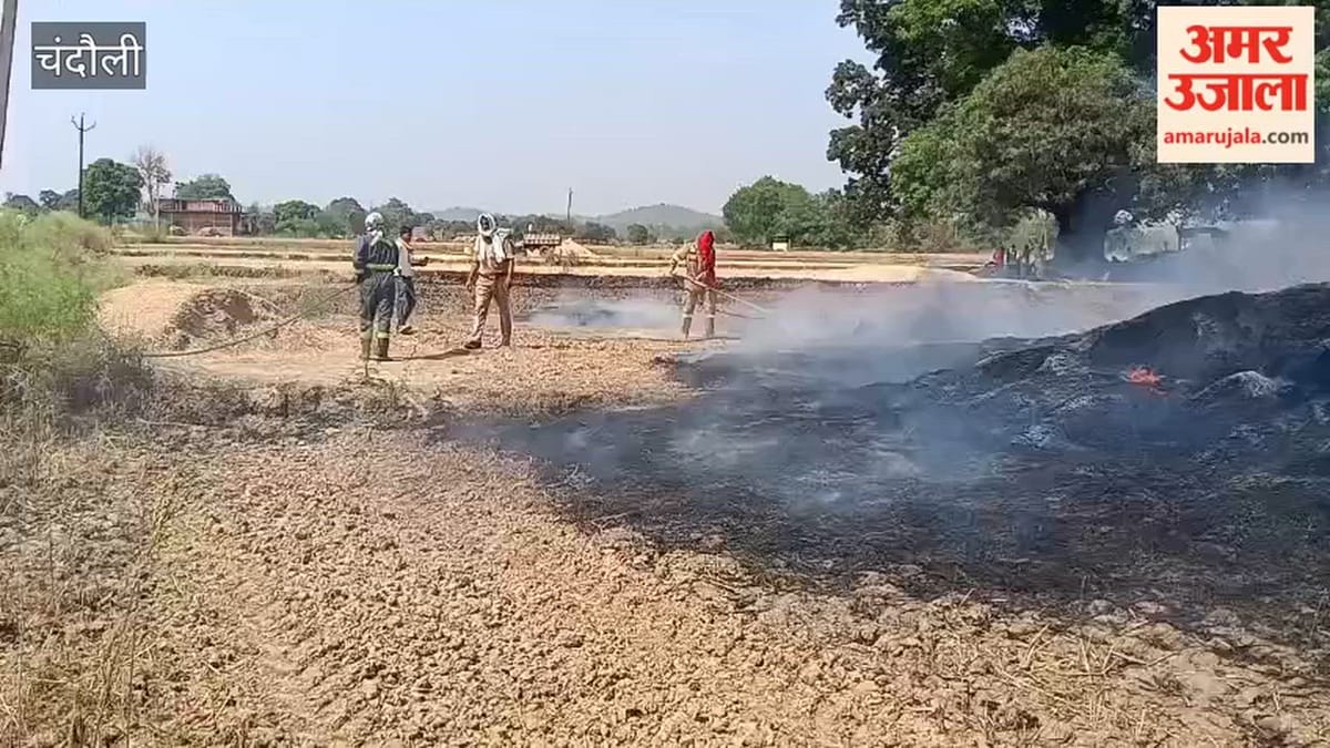 शॉर्ट सर्किट से निकली चिंगारी से चार बीघा गेहूं की फसल राख, VIDEO