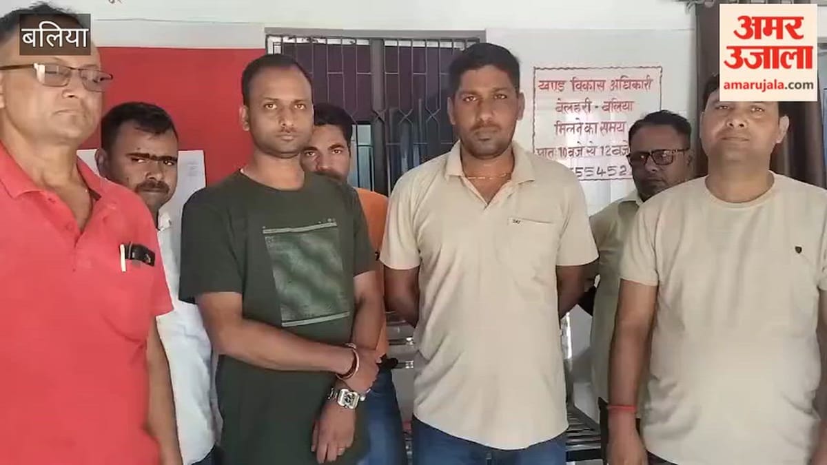 रोजगार सेवकों ने डीएम सहित बीडीओ को सौंपा पत्रक, VIDEO