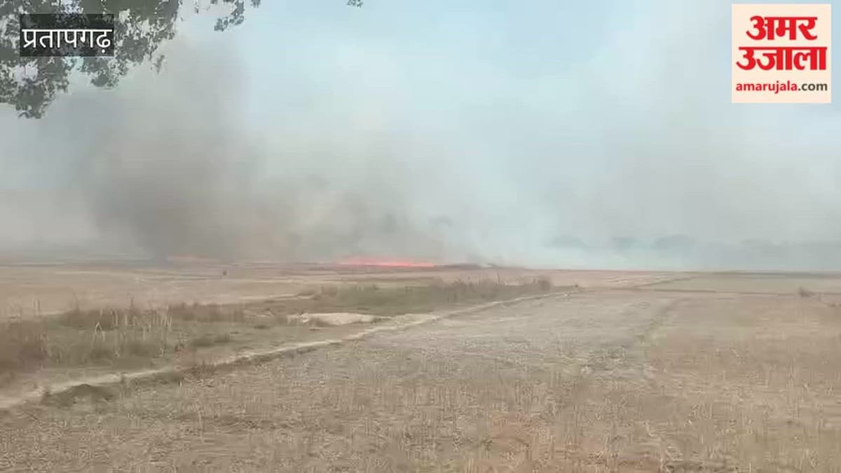 प्रतापगढ़ के सुवंशा में गेहूं के खेत में लगी भीषण आग, मचा रहा हाहाकार