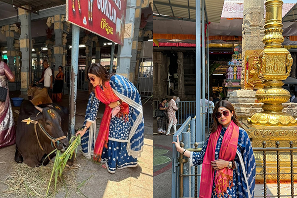 तिरुपति में गौसेवा करती दिखीं शमिता शेट्टी, बहन शिल्पा ने की तारीफ