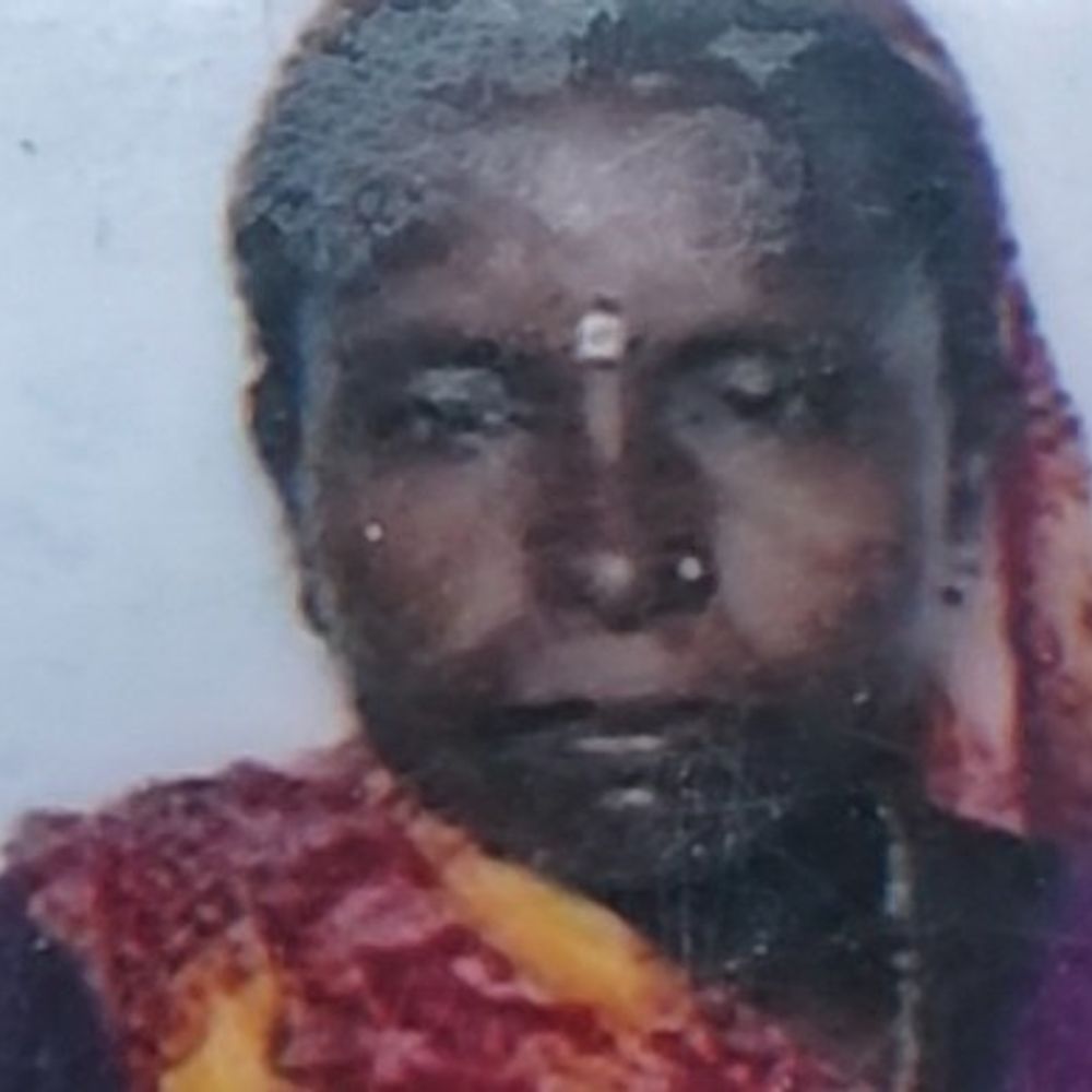 नालंदा में अज्ञात वाहन ने महिला रौंदा, मौत:होटल में खाना बनाने का काम करती थी, घर लौटते समय हुआ हादसा