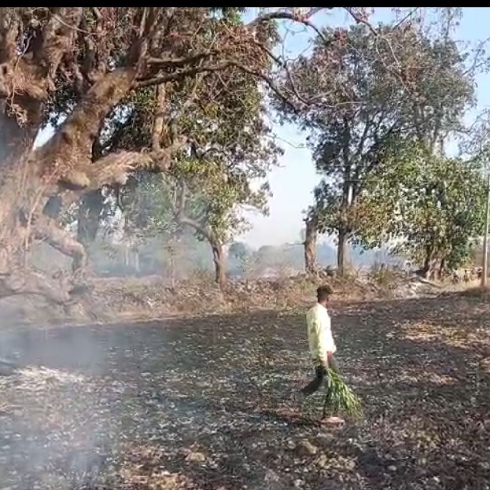 2 एकड़ में खड़ी गेहूं की फसल जली:उमरिया में टूटी 11 केवी लाइन से भड़की आग, ग्रामीणों और फायर ब्रिगेड ने पाया काबू