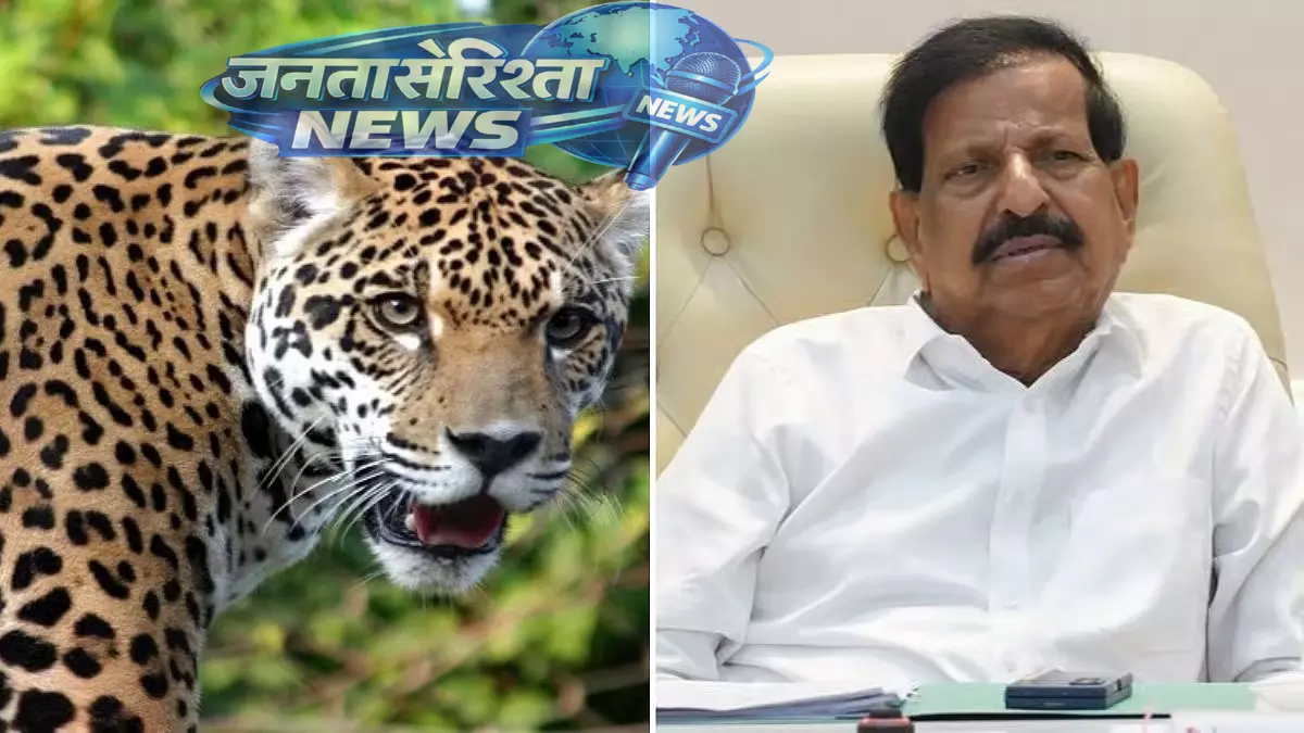 Maharashtra: लेपर्ड सफारी की योजना, तेंदुओं की बढ़ती संख्या पर सरकार का कदम