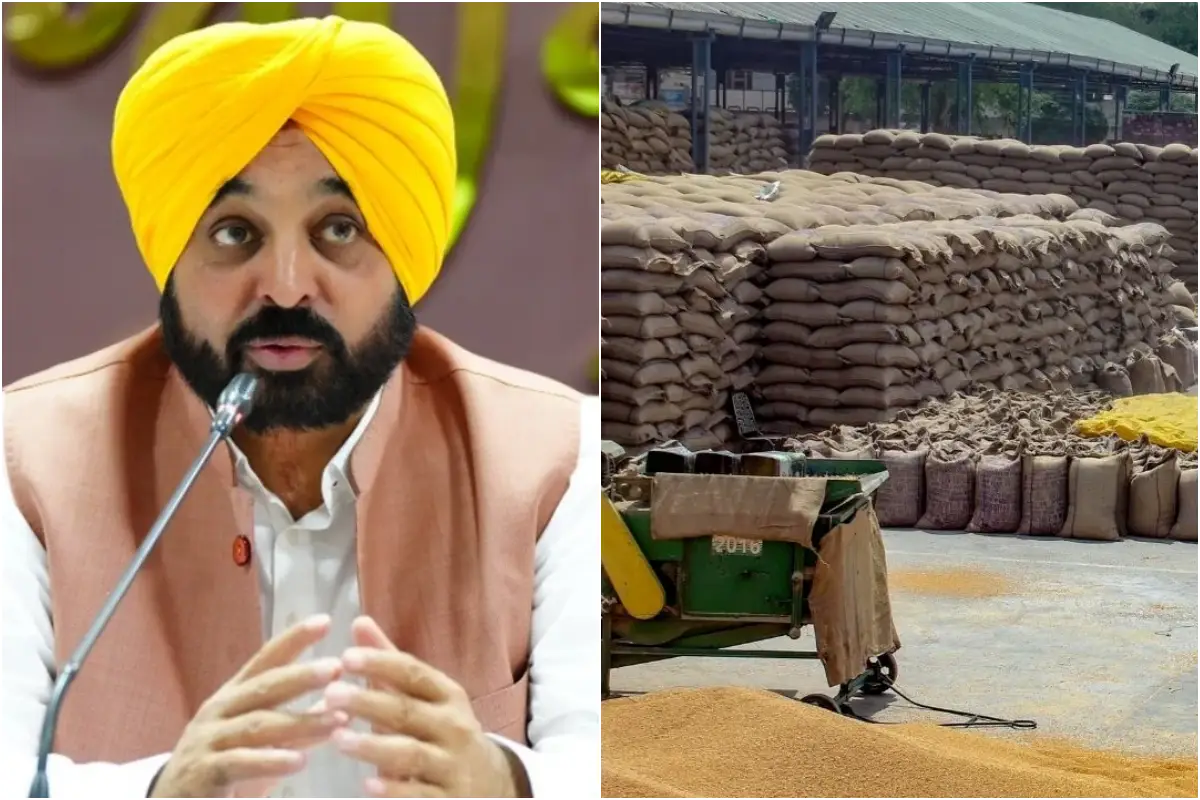 गेहूं की रिकॉर्ड खरीदारी कर रही Bhagwant Mann सरकार! लाखों मीट्रिक टन फसल के बदले करोड़ों का भुगतान कर किसानों को दिया तोहफा