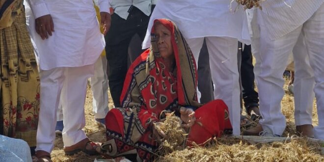 ओलावृष्टि ने उजाड़े खेत, सर्वे में खेल से भड़का किसान आक्रोश