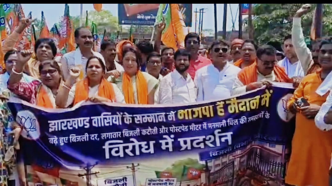 बिजली दर बढ़ोतरी के खिलाफ भाजपा का प्रदर्शन, सरकार पर साधा निशाना