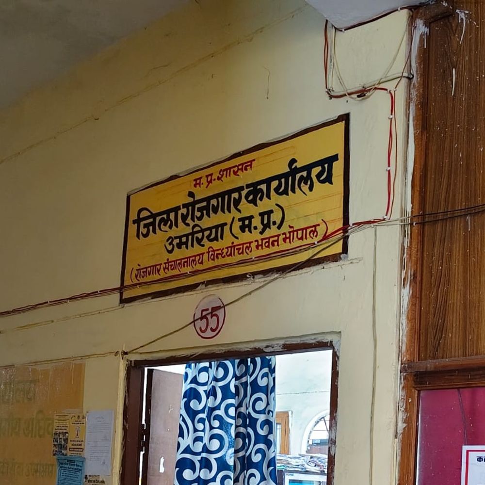 उमरिया में रोजगार मेला कल:निजी कंपनियां देंगी नौकरी के अवसर, युवा संगम का आयोजन