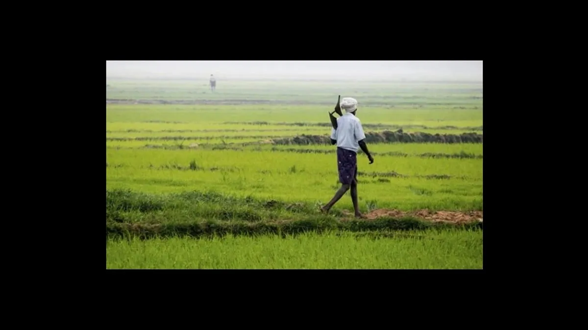 Bihar News: अधिकारियों की फिटनेस से सुदृढ़ होगा प्रशासन, 150 कृषि पदाधिकारियों ने लिया विशेष साहसिक प्रशिक्षण