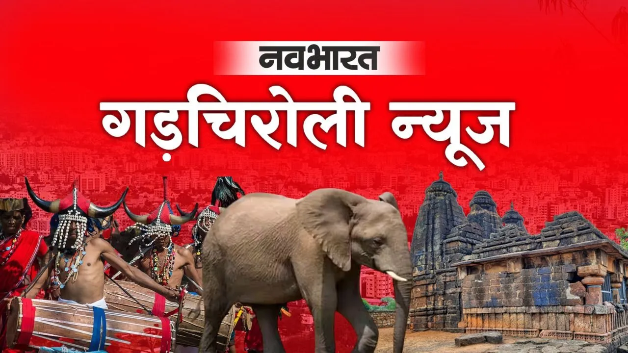 गड़चिरोली में आंबेडकर जयंती की धूम; शैक्षणिक संस्थानों में हुए विविध आयोजन, विचारों को किया गया नमन