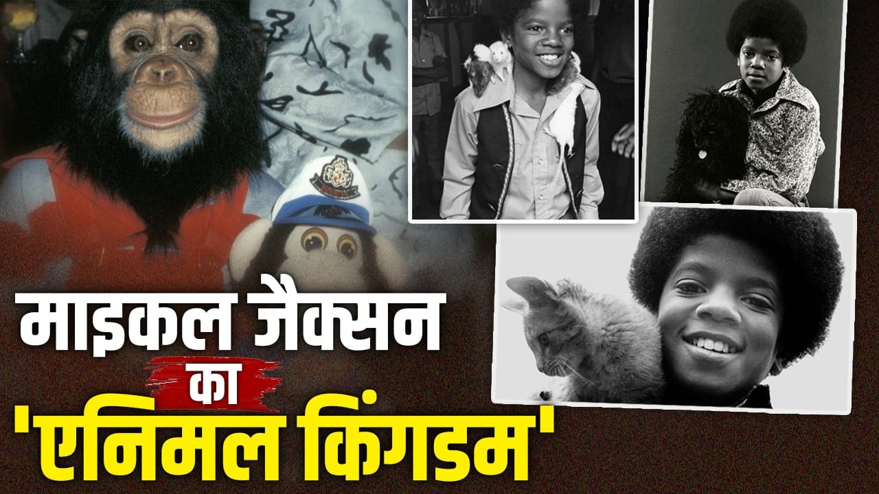 Michael Jackson All Pets: चिंपैंजी, बाघ, हाथी और सांप... माइकल जैक्सन के जाने के बाद कहां गए पॉप किंग के पालतू?