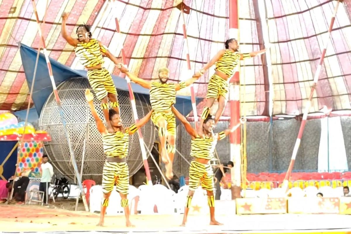 गुम होती दुनिया का तमाशा! पूर्णिया में लौट आया सर्कस, कई देशों के कलाकार दिखा रहे गजब के स्टंट