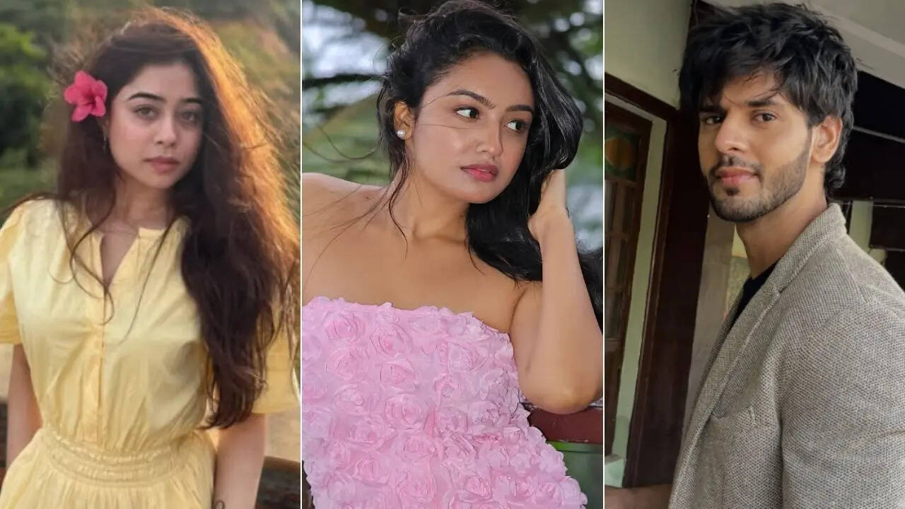 एक्स-बॉयफ्रेंड के कारण परेशान थीं Sanchita Ugale, डिप्रेशन से जूझ रही थीं एक्ट्रेस; को-स्टार ने किये खुलासे
