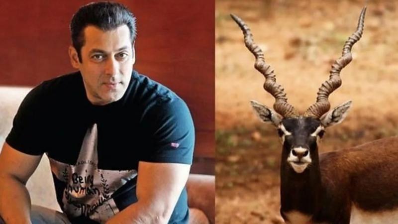 सलमान खान का फूटा गुस्सा: 'काला हिरण' नाम से फिल्म बनाने वाले मेकर्स को कानूनी नोटिस, कोर्ट घसीटने की दी चेतावनी