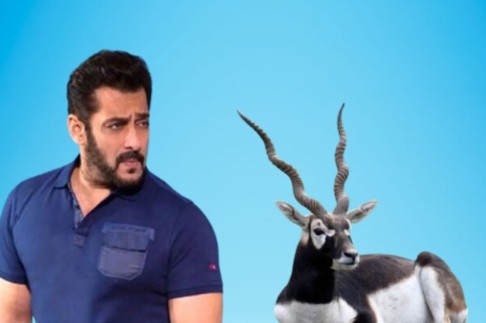 सलमान खान का फूटा गुस्सा: 'काला हिरण' नाम से फिल्म बनाने वाले मेकर्स को कानूनी नोटिस, कोर्ट घसीटने की दी चेतावनी